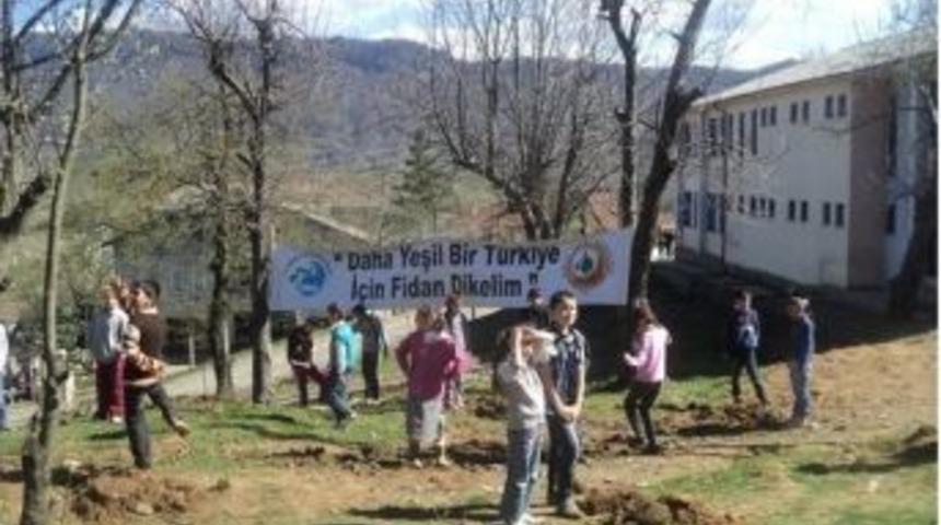 Amasra'da Fidan Dikimi Yapıldı