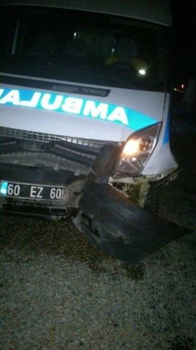 Ambulans Domuz Sürüsüne Çarptı