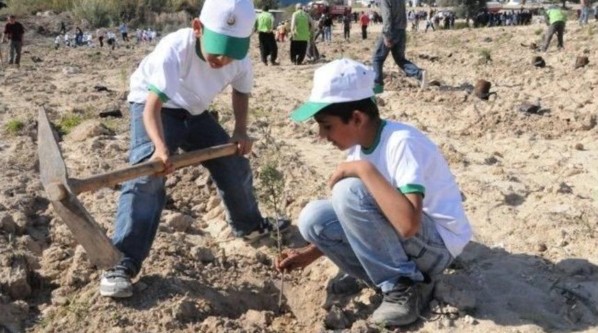 Me&uuml;'ye 4 Bin Fidan Dikildi