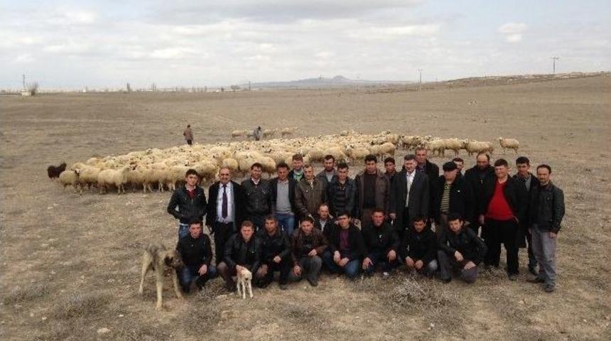 Niğde&rsquo;de Eğitimli &Ccedil;oban D&ouml;nemi