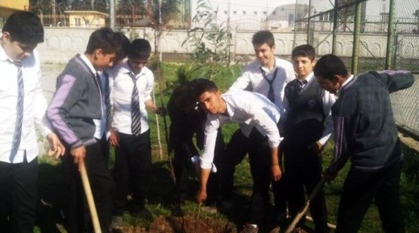 Silopi Atat&uuml;rk Anadolu Lisesi'nde Fidan Dikimi Etkinliği