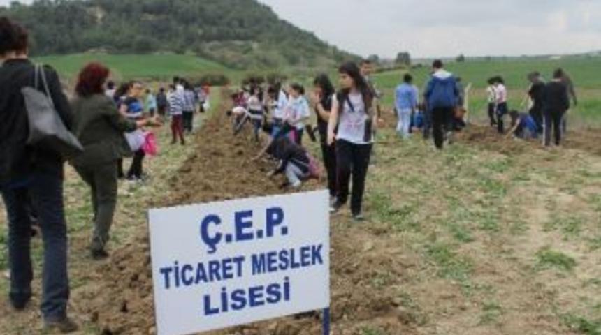 &Ccedil;ep Ticaret Meslek Lisesi &Ouml;ğrencileri Hatıra Ormanında Fidanlar Can Buldu