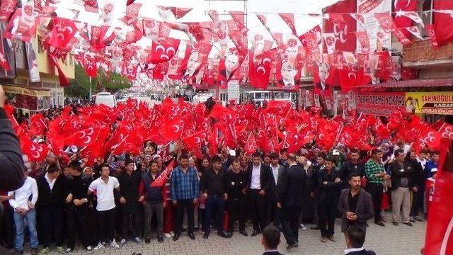 Bahçeli'den Bozkurt Çıkışı: 