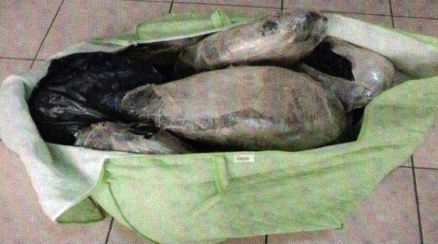 Buca&rsquo;da 31 Kilo Esrar Ele Ge&ccedil;irildi