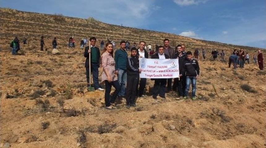 Yozgat Gen&ccedil;lik Merkezi &Uuml;yeleri Fidan Dikti