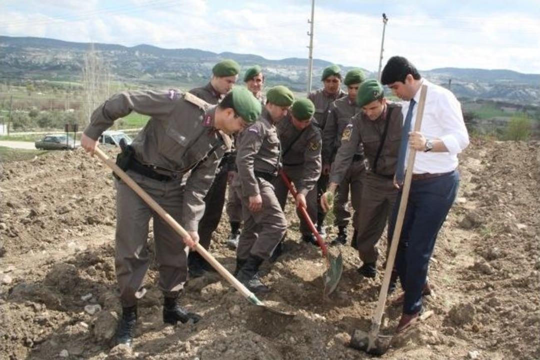 Selendi'de Ağa&ccedil; Seferberliği