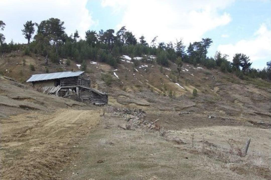 İz Takip K&ouml;peği Hayat Kurtardı