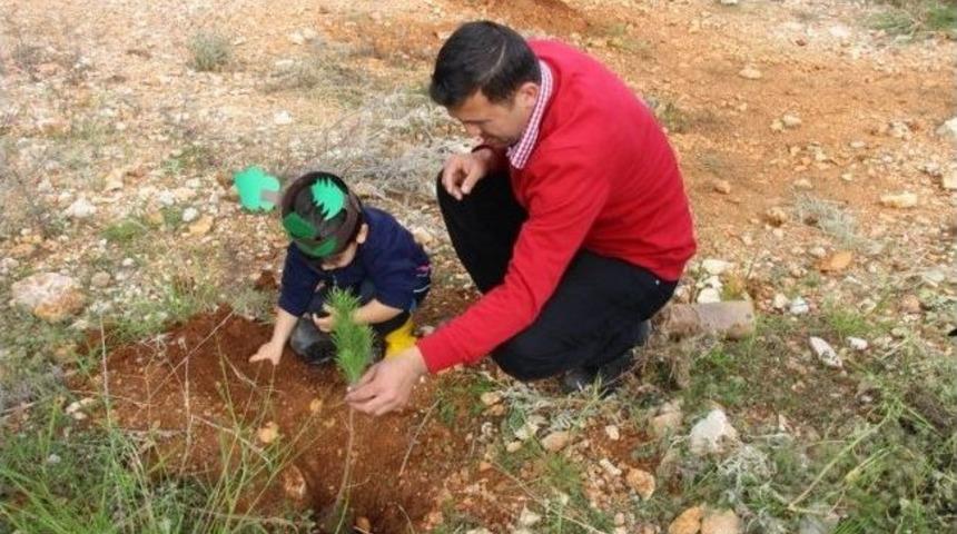 Kaş'ta Minikler Fidan Dikti