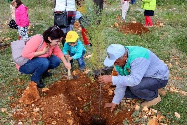 Kaş'ta Minikler Fidan Dikti