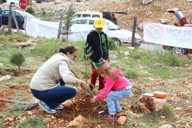 Kaş'ta Minikler Fidan Dikti