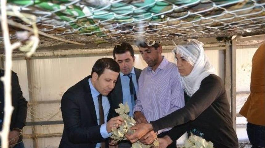 Kaymakam Arık İpek B&ouml;cek&ccedil;iliği Besim Evinde İnceleme Yaptı