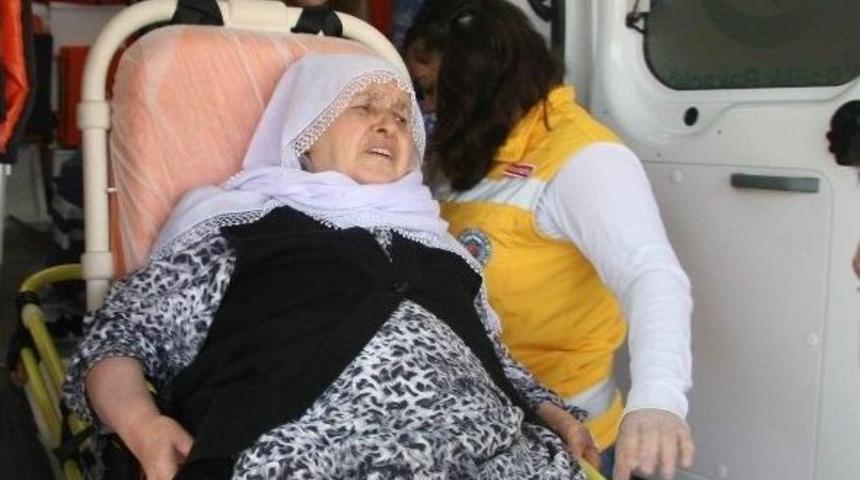 Sokak K&ouml;peklerinin Saldırısına Uğrayan Yaşlı Kadın Hastanelik Oldu