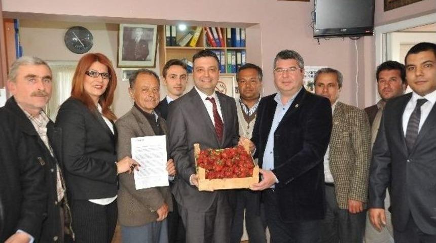 Sultanhisarlı &Ccedil;ift&ccedil;iye Kredi Desteği