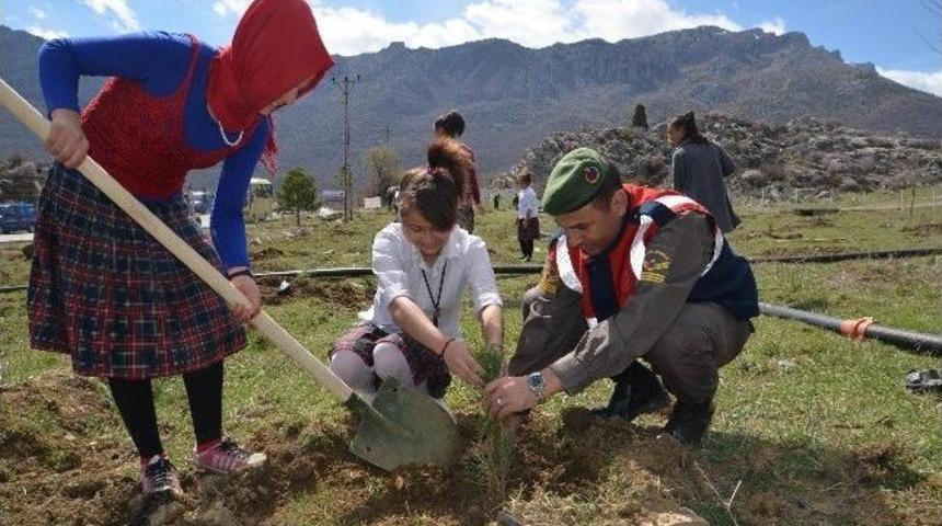 Her Şehit İ&ccedil;in Bir Fidan