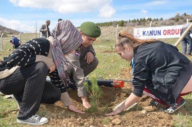 Her Şehit İçin Bir Fidan