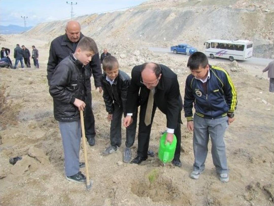 Hisarcık&rsquo;ta &Ouml;ğrenciler "bor" Maden Sahalarına Fidan Dikti