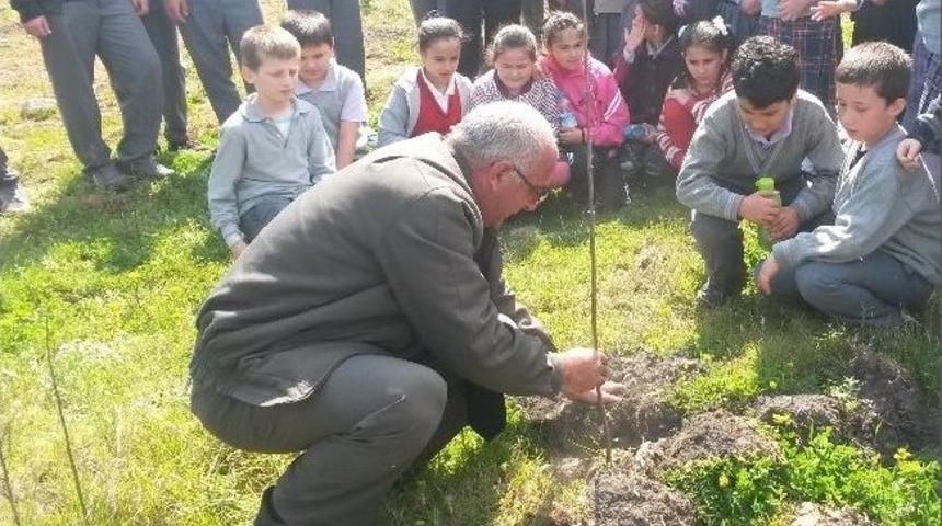 &Ouml;ğrenciler Fidan Dikti