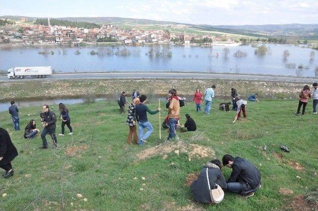 İnegöl İşletme Fakültesi Ormanı Hayat Buluyor