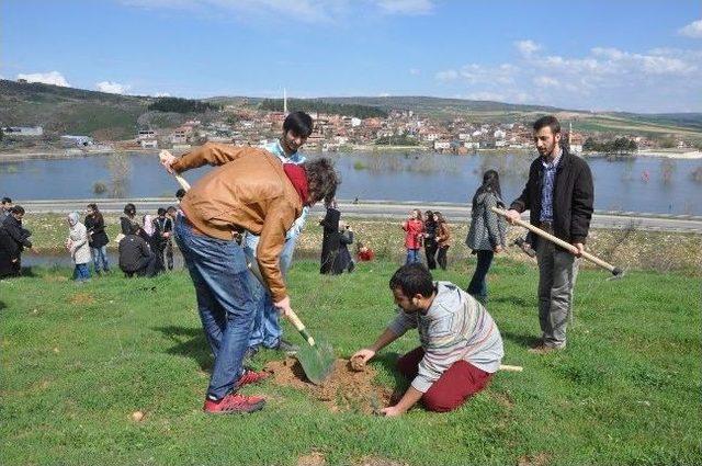 İnegöl İşletme Fakültesi Ormanı Hayat Buluyor