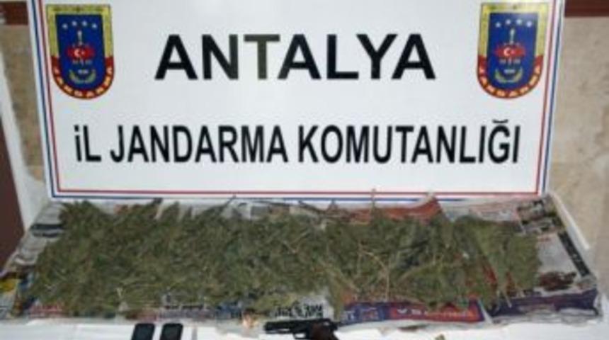 Jandarmadan Uyuşturucu İmal Ve Satıcılarına Operasyon