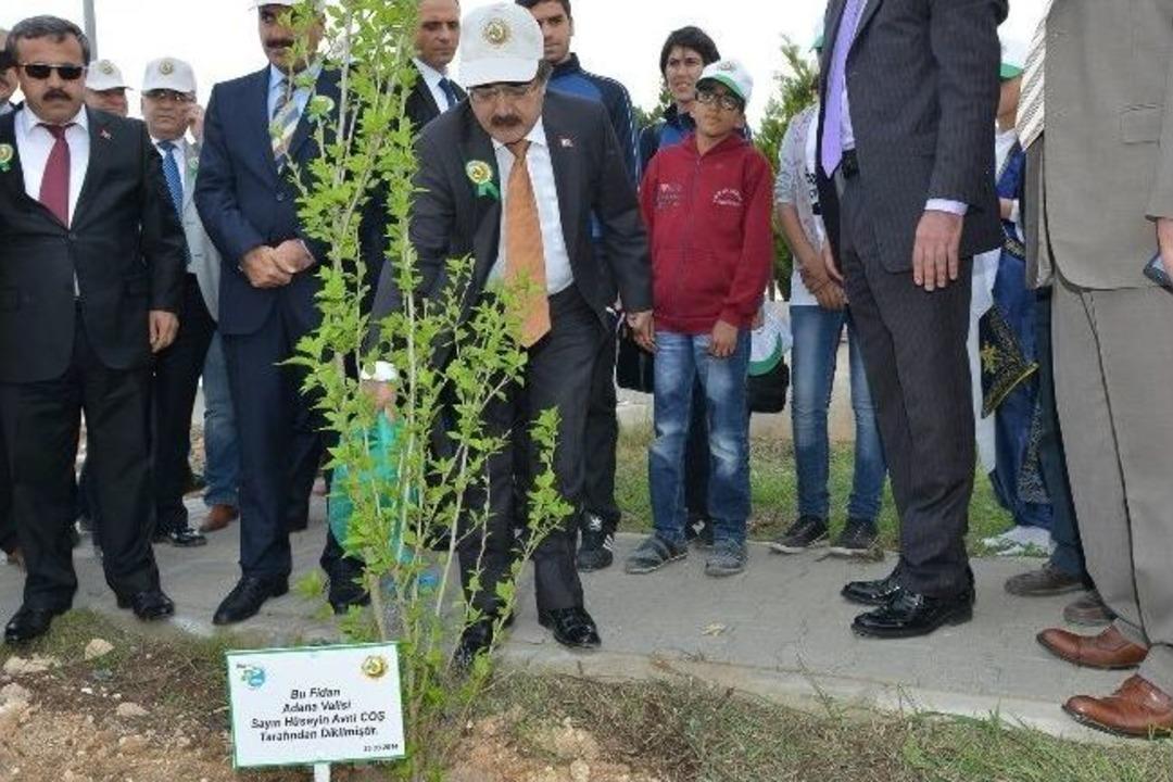 "okullar Hayat Olsun" Projesi İle Fidanlar Toprakla Buluşturuldu