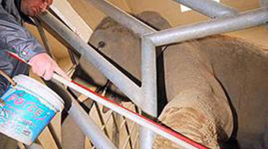 TV de &ouml;l&uuml;m