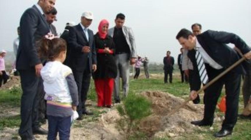 Kozan Osb&rsquo;de Fidan 700 Fidan Toprakla Buluştu