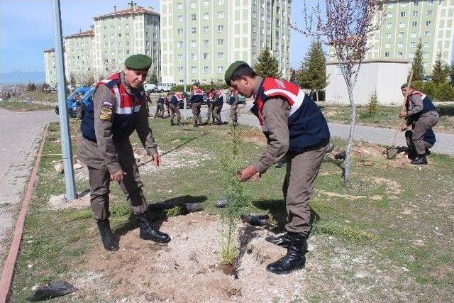 Beyşehir’de Şehitler Ve Gaziler Koruluğu Oluşturuldu