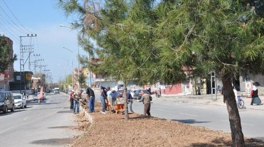Batman Belediyesi'nde Bahar Hareketliliği