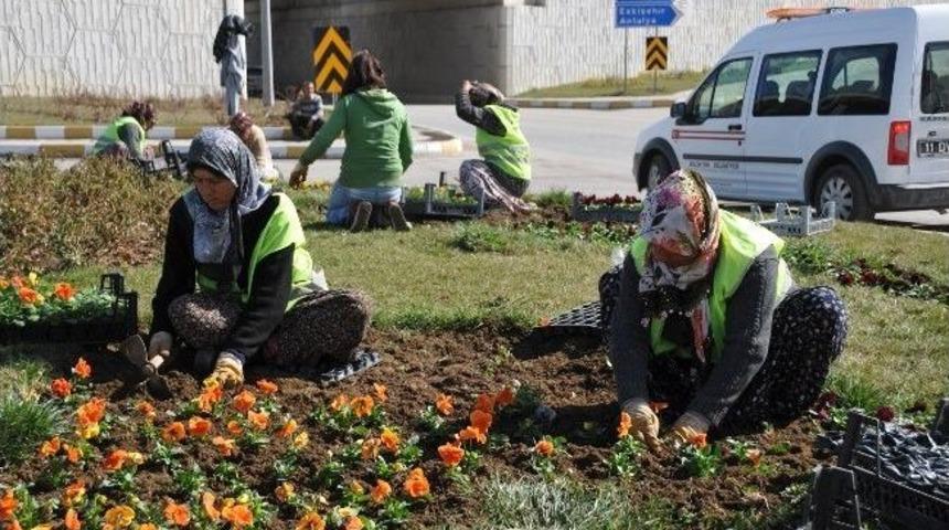 Boz&uuml;y&uuml;k&rsquo;te &Ccedil;i&ccedil;ek Dikim &Ccedil;alışmaları Başladı