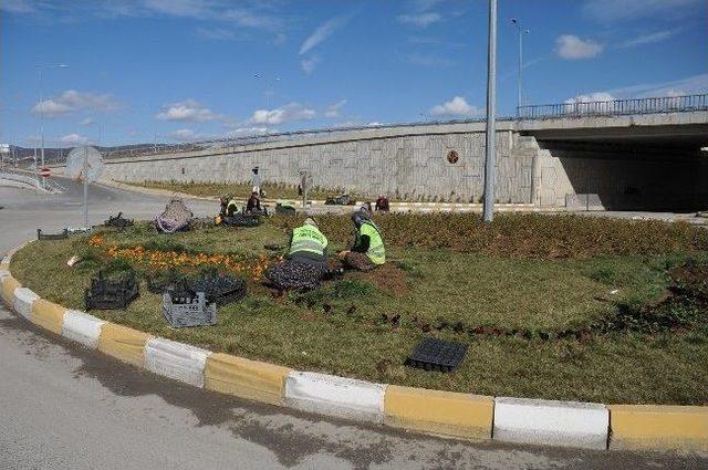 Bozüyük’te Çiçek Dikim Çalışmaları Başladı