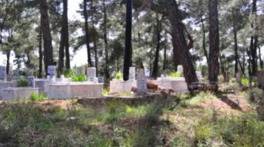 Yatağan&rsquo;da Kablo Hırsızlığı İddiası