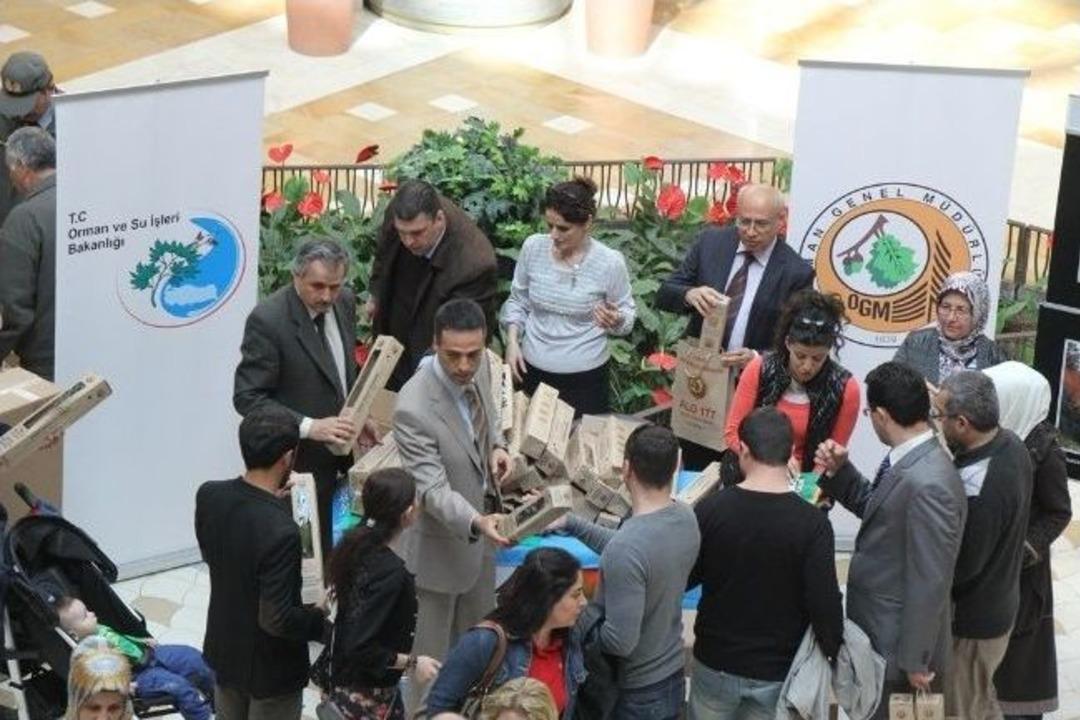 4 Bin Fidan &Uuml;cretsiz Dağıtıldı