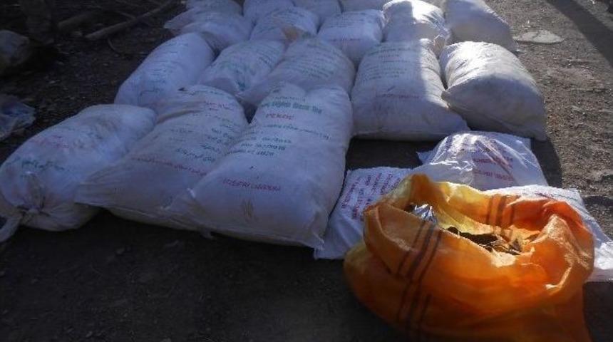 Hakkari&rsquo;de 565 Kilo Ka&ccedil;ak &Ccedil;ay Ele Ge&ccedil;irildi