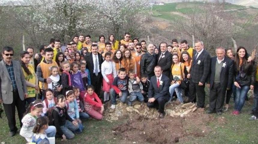 Orman İşletme, &Ouml;ğrencilerle 200 &Ccedil;am Fidanı Dikti