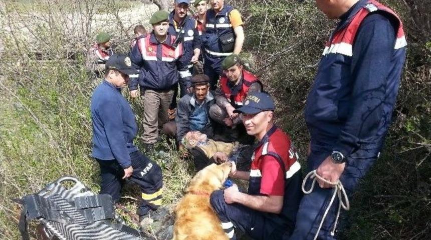 Afad, Kastamonu'da Kayıp Bir Kişiyi Buldu