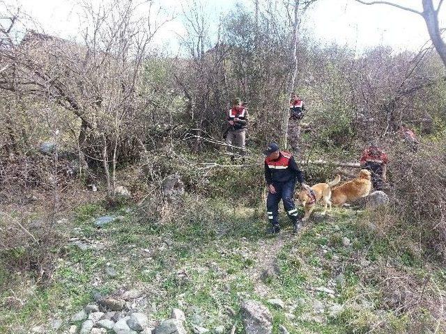 Afad, Kastamonu'da Kayıp Bir Kişiyi Buldu