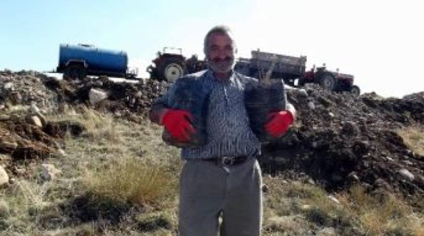 Aşağısarıca K&ouml;y&uuml;nden &Ouml;rnek Davranış