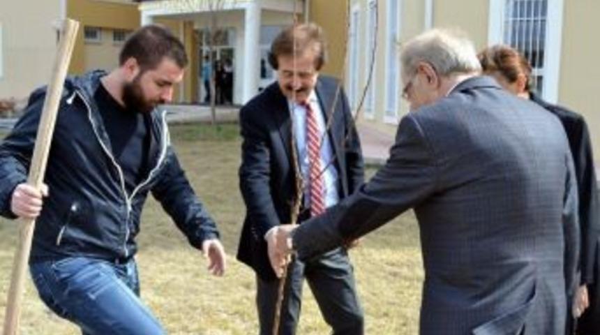 C&uuml;&rsquo;de &lsquo;bir Diploma, Bir Fidan&rsquo; Etkinliği
