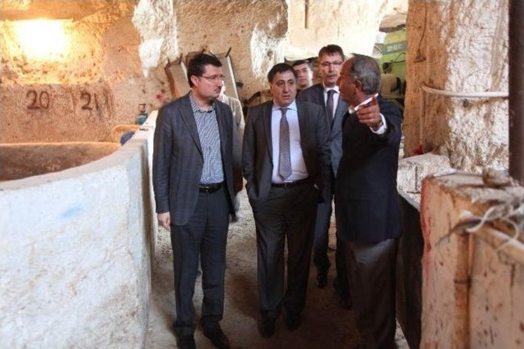 Vali K&uuml;&ccedil;&uuml;k: &ldquo;şanlıurfa&rsquo;da Hayvancılık Besi B&ouml;lgesiyle Kalkınacak&rdquo;