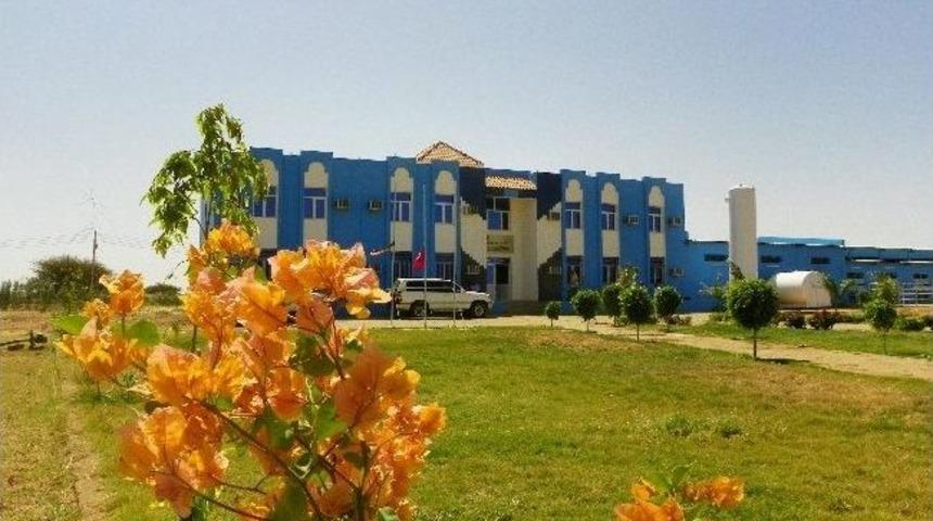 Sudan-t&uuml;rk Suni Tohumlama Ve Gen Kaynakları Merkezi Faaliyetlerine Başlıyor