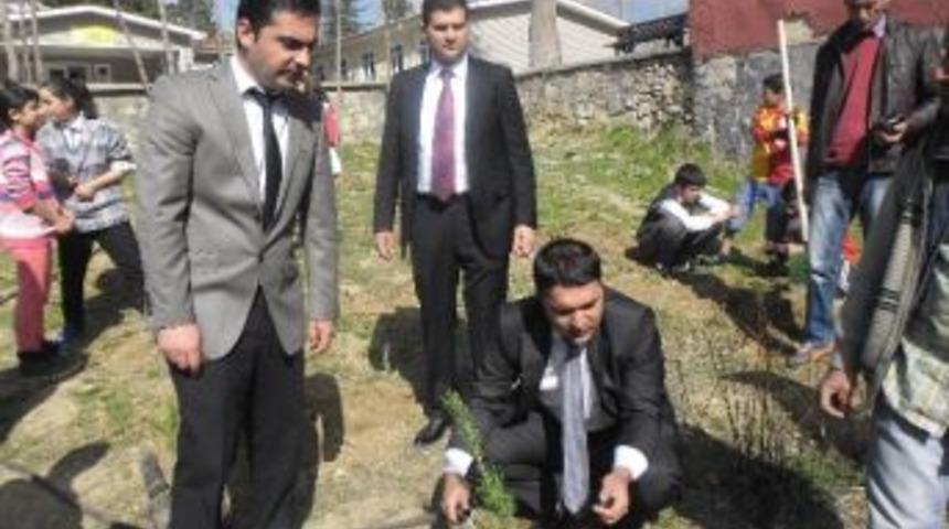 &Ccedil;&uuml;ng&uuml;ş&rsquo;te 5 Bin 500 Adet Fidan Dağıtıldı