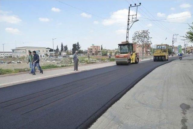 Şeyh Cemil Nardalı Caddesi Asfaltlanıyor