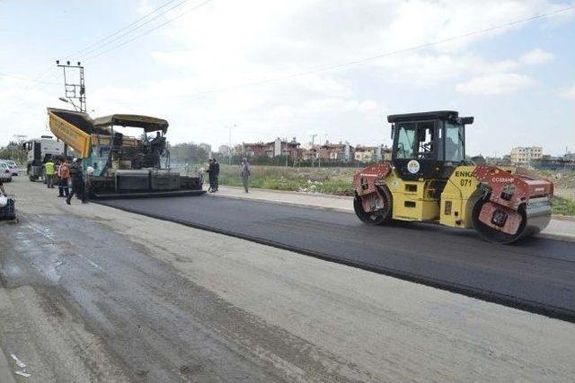 Şeyh Cemil Nardalı Caddesi Asfaltlanıyor