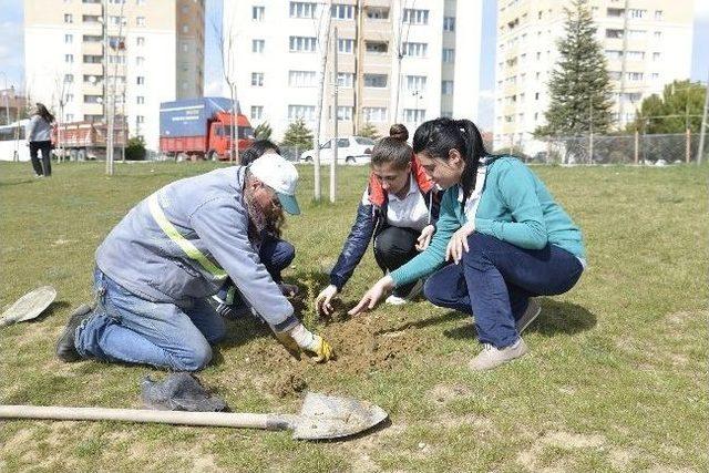 Öğrenciler Yeni Parka Fidan Diktiler