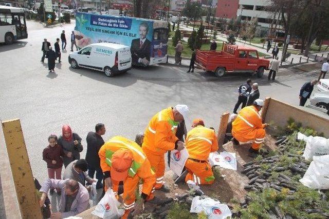 Sincan Belediyesi Ve Orman Bölge Müdürlüğü 10 Bin Adet Fidan Dağıttı