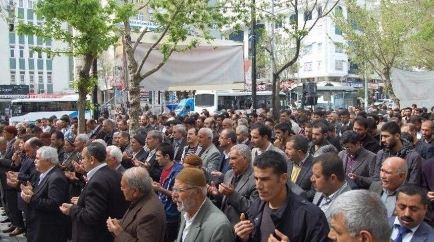 Mısır&rsquo;daki İdam Kararına Tepkiler