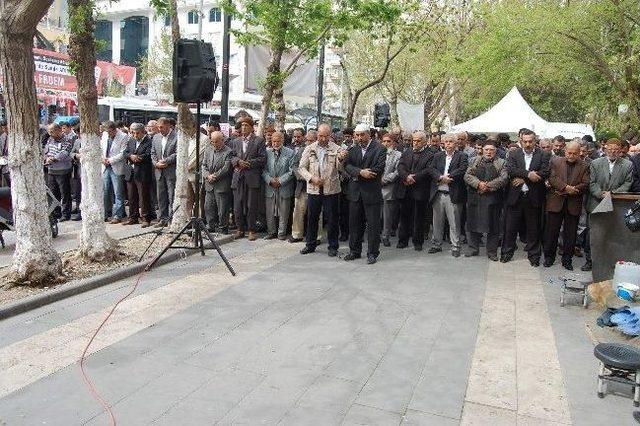 Mısır’daki İdam Kararına Tepkiler