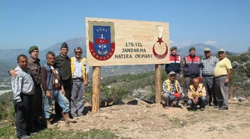 Jandarmadan Bin Adet Fidan Dikimi