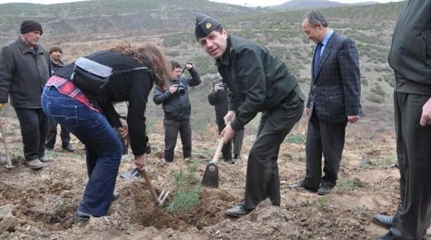 Uşak Jandarması Yanan Ormana 500 Fidan Dikti